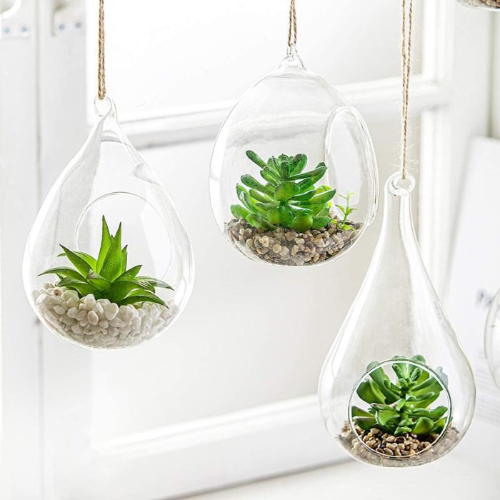 glass terrariums air