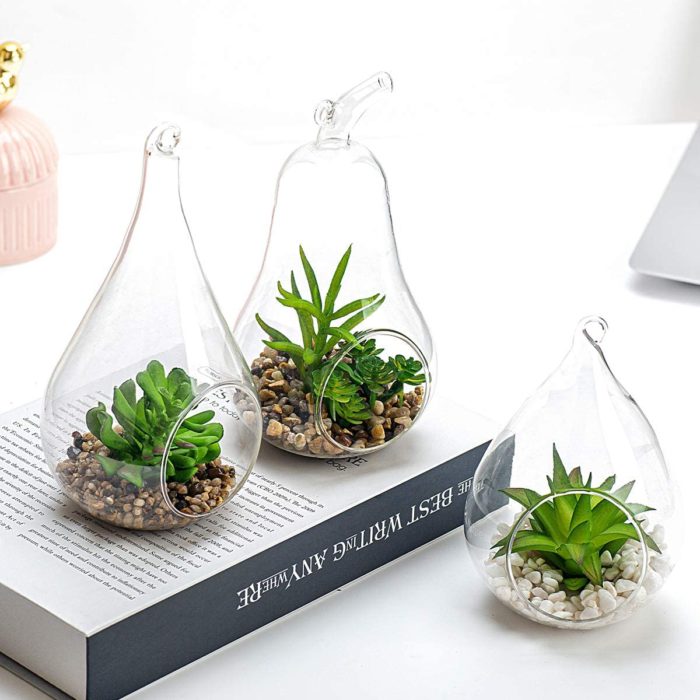 book and glass terrariums