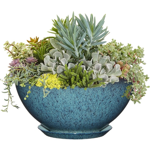 classic home and garden pot