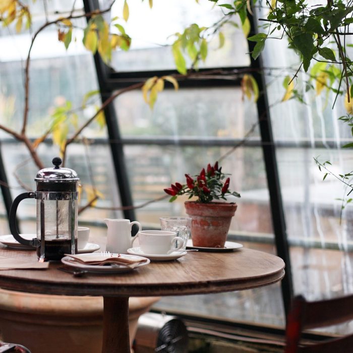 conservatory plants table coffee