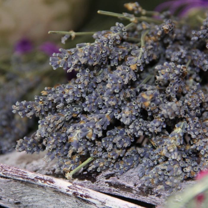 dried lavender