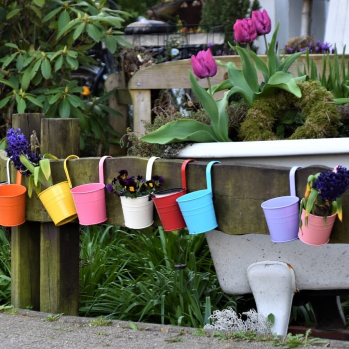 flower pots lined up