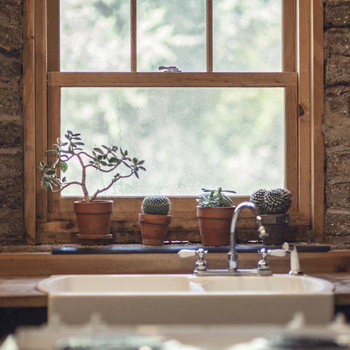 plants kitchen window
