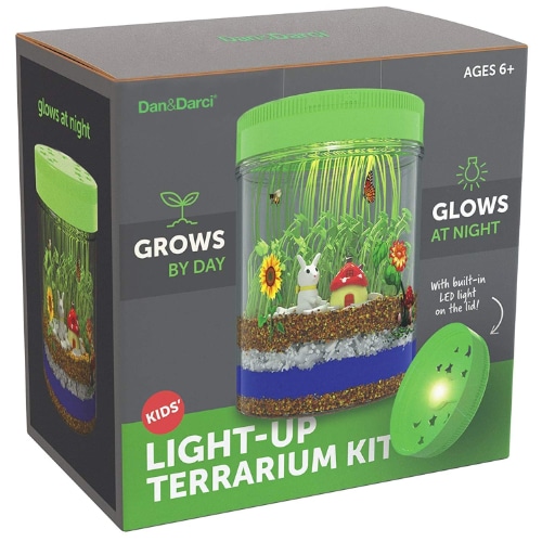 light up terrarium