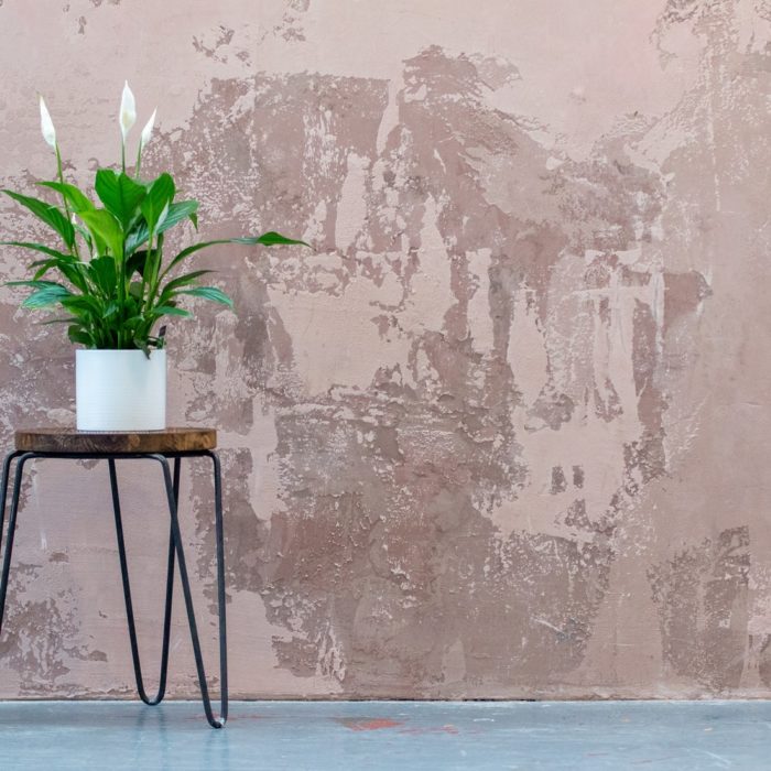 peace lily on stool