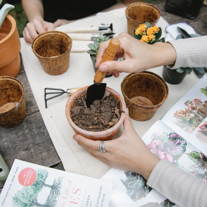 person potting a plant