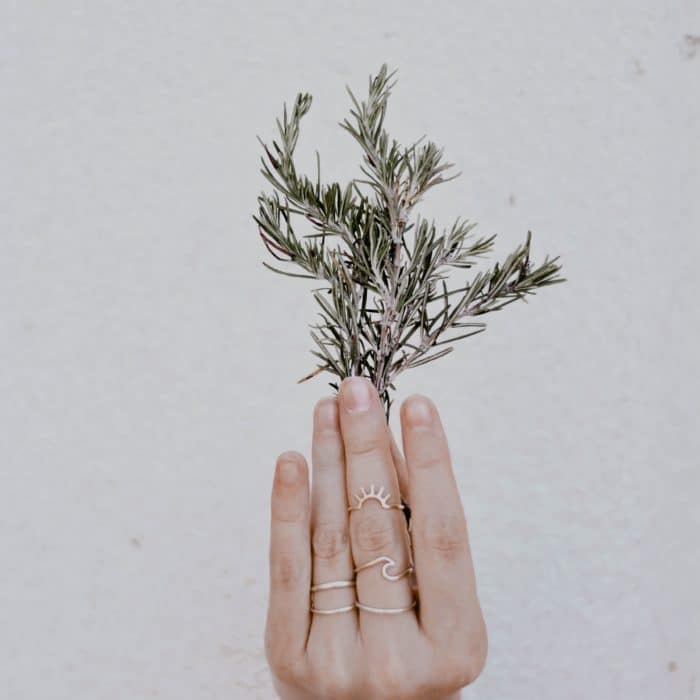 someone holding rosemary