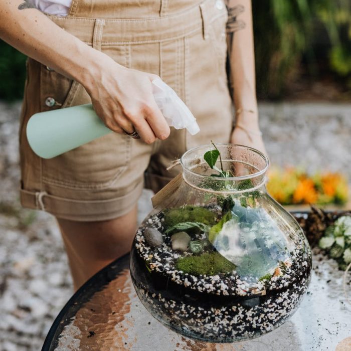 spraying terrarium