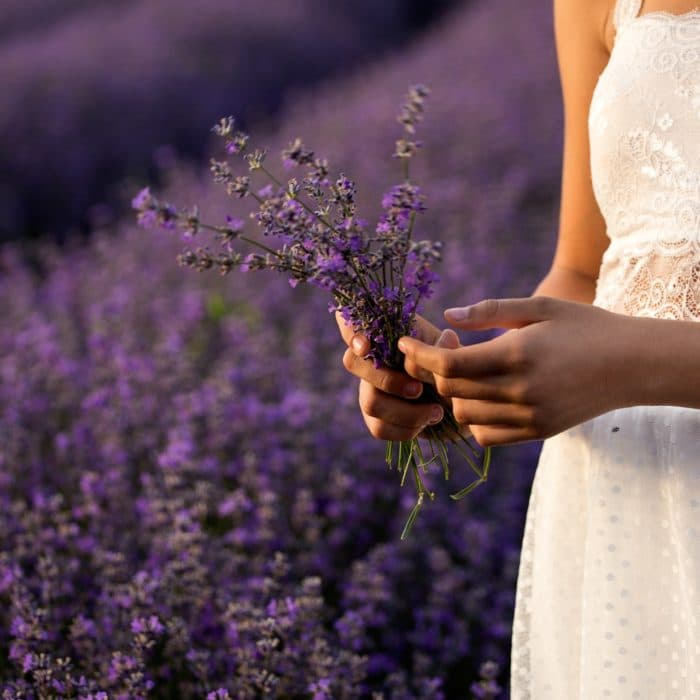 woman holding lavender in a field of lavender