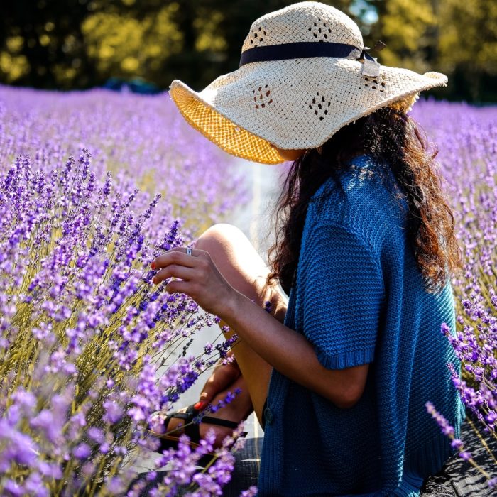 woman in lavender field