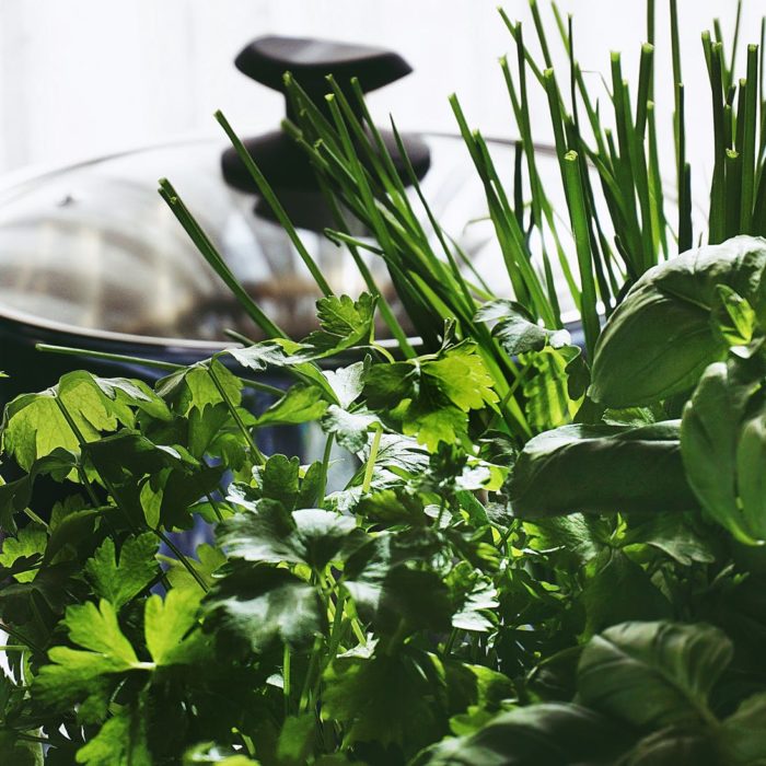 basil, chives, and parsley plants