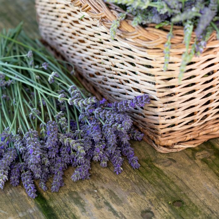 lavender and basket