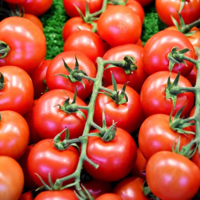 tomatoes on the vine