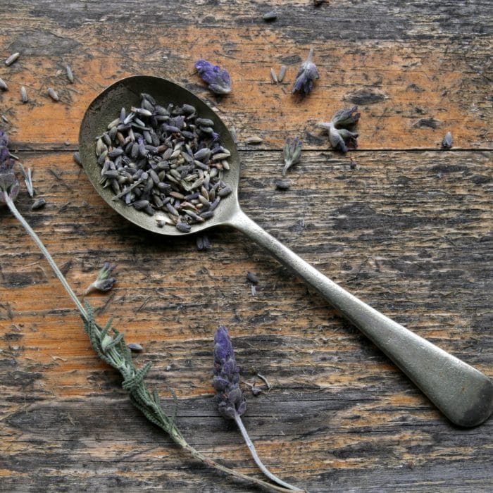spoon of lavender